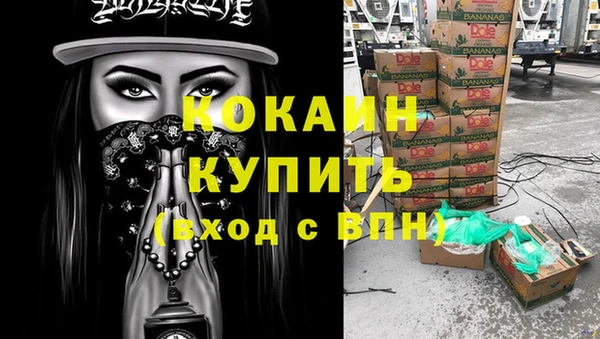 прущие грибы Гусиноозёрск