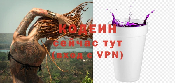 прущие грибы Гусиноозёрск